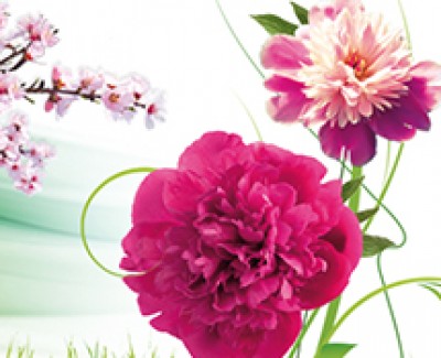 [1-10 mai] Foire de Tours 2015